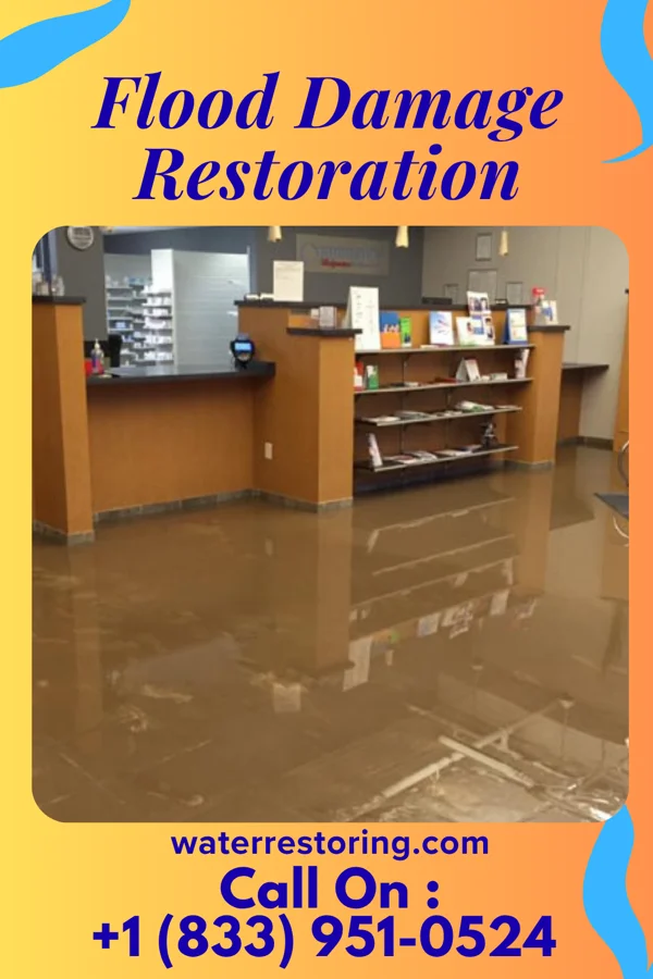 Flood Damage Restoration in Wyandotte, MI