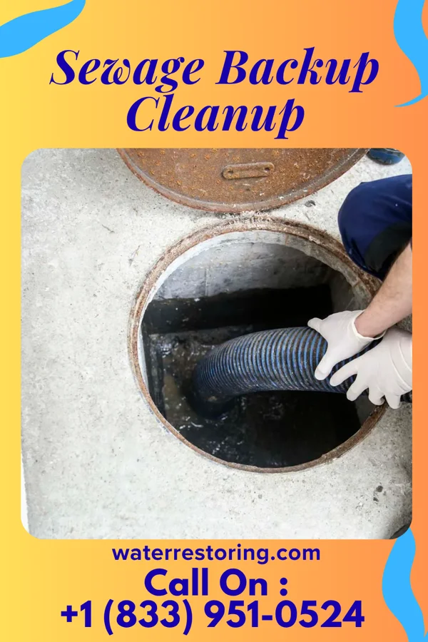 Sewage Backup Cleanup in Wyandotte, MI